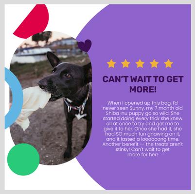 Show full view: I and Love and You Ear Candy Beef Ear Dog Chews, 5 pack slide 5 of 12