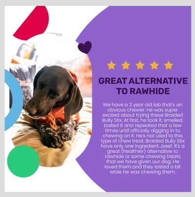 Show full view: I and Love and You Free Range Braided 6-in Bully Stix Dog Treats, 3 count slide 5 of 10