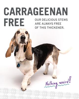 Show full view: I and Love and You Gobble It Up Stew Grain-Free Canned Dog Food, 13-oz, case of 12 slide 8 of 12