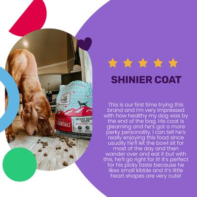 Show full view: I and Love and You Naked Essentials Ancient Grain Beef and Lamb Recipe Dry Dog Food, 23-lb bag slide 5 of 10