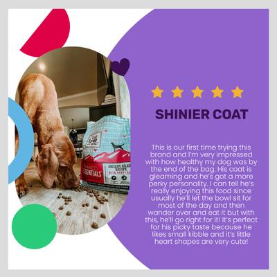 Show full view: I and Love and You Naked Essentials Ancient Grain Beef and Lamb Recipe Dry Dog Food, 4-lb bag slide 5 of 10