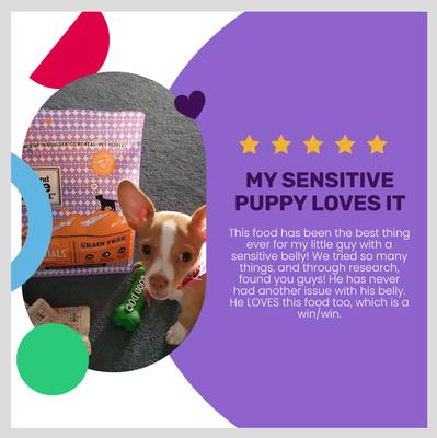 Show full view: I and Love and You Naked Essentials Puppy Recipe Grain-Free Dry Puppy Food, 4-lb slide 5 of 12