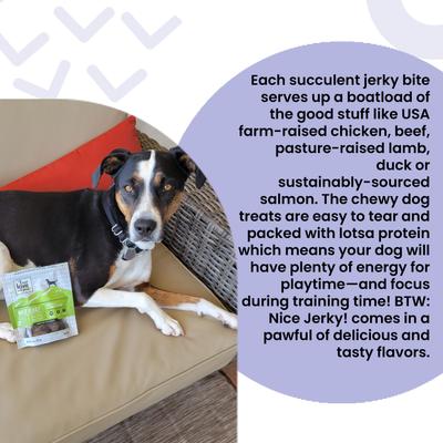 Show full view: I and Love and You Nice Jerky Bites Beef and Lamb Grain-Free Dog Treats, 4-oz bag slide 4 of 12