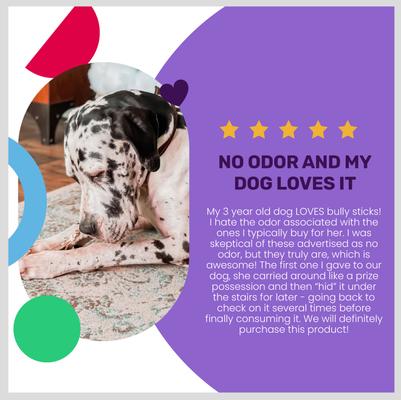 Show full view: I and Love and You No Stink! Free Ranger Beef Bully Stix Grain-Free Dog Chews, 6-in, 5 pack slide 5 of 12