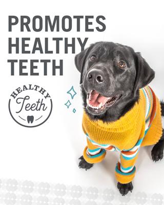 Show full view: I and Love and You No Stink! Free Ranger Beef Bully Stix Grain-Free Dog Chews, 6-in, 5 pack slide 9 of 12