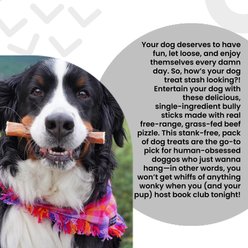 I and Love and You No Stink! Free Ranger Bully Stix Dog Chews, 12-in, 5 pack slide 2 of 9
