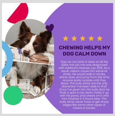 Show full view: I and Love and You No Stink! Free Ranger Bully Stix Dog Chews, 12-in, 5 pack slide 5 of 12