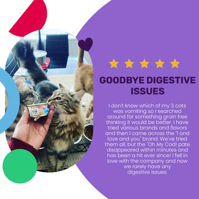 Show full view: I and Love and You Oh My Cod! Pate Grain-Free Canned Cat Food, 3-oz can, case of 4 slide 5 of 10