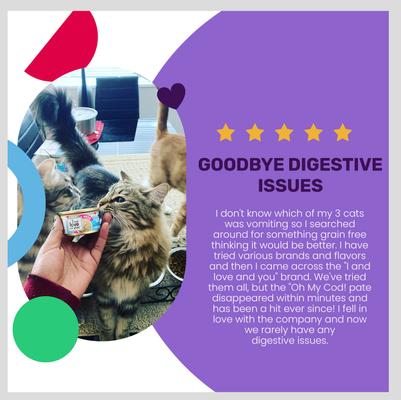 Show full view: I and Love and You Oh My Cod! Pate Grain-Free Canned Cat Food, 3-oz, case of 24 slide 5 of 12