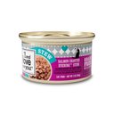 I and Love and You Salmon Chanted Evening Stew Grain-Free Canned Cat Food, 3-oz, case of 24