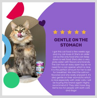 Show full view: I and Love and You Salmon Chanted Evening Stew Grain-Free Canned Cat Food, 3-oz, case of 24 slide 5 of 12