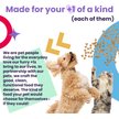 Show in main carousel: I and Love and You Stir and Boom Raw Raw Chick Boom Ba Dinner Grain-Free Dehydrated Dog Food, 1-lb bag slide 6 of 10