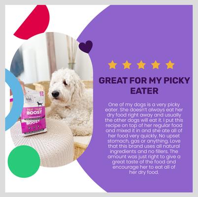 Show full view: I and Love and You Top That Boost Duck Recipe Grain-Free Dog Food Topper, 3-oz pouch, case of 12 slide 5 of 10