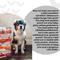 Show in main carousel: I and Love and You Top That Tummy Chicken Recipe Grain-Free Dog Food Topper, 3-oz pouch, case of 12 slide 4 of 11