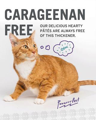 Show full view: I and Love and You Variety Pack Grain-Free Canned Cat Food, 3-oz can, bundle of 36  slide 9 of 12