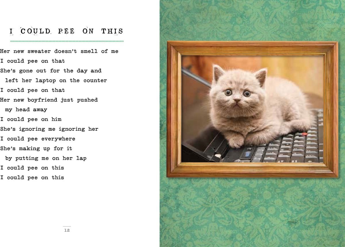 I Could Pee on This, Too: & More Poems by More Cats