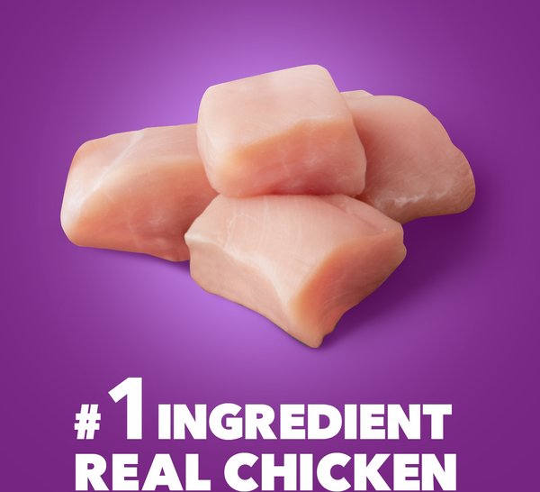 Show full view: Iams Advanced Health Adult Healthy Digestion with Real Chicken Dry Dog Food, 13.5-lb bag slide 4 of 11