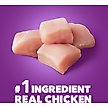 Show in main carousel: Iams Advanced Health Adult Healthy Digestion with Real Chicken Dry Dog Food, 13.5-lb bag slide 4 of 11