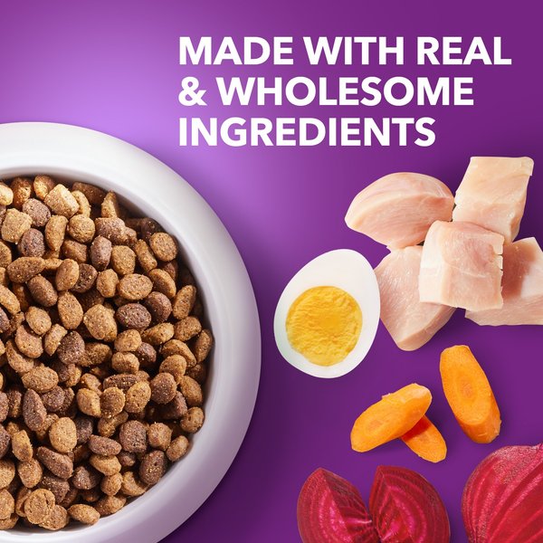 Show full view: Iams Advanced Health Adult Healthy Digestion with Real Chicken Dry Dog Food, 13.5-lb bag slide 5 of 11