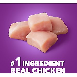 Iams Advanced Health Skin & Coat Chicken & Salmon Recipe Adult Dry Dog Food, 36-lb bag