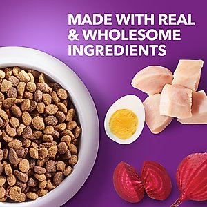 Iams Advanced Health Skin & Coat Chicken & Salmon Recipe Adult Dry Dog Food, 36-lb bag