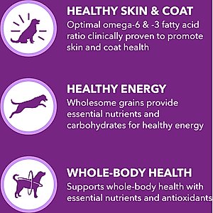 Iams Advanced Health Skin & Coat Chicken & Salmon Recipe Adult Dry Dog Food, 36-lb bag