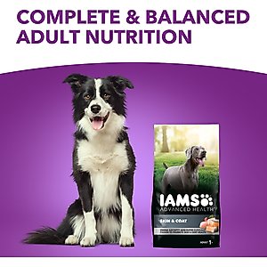 Iams Advanced Health Skin & Coat Chicken & Salmon Recipe Adult Dry Dog Food, 36-lb bag