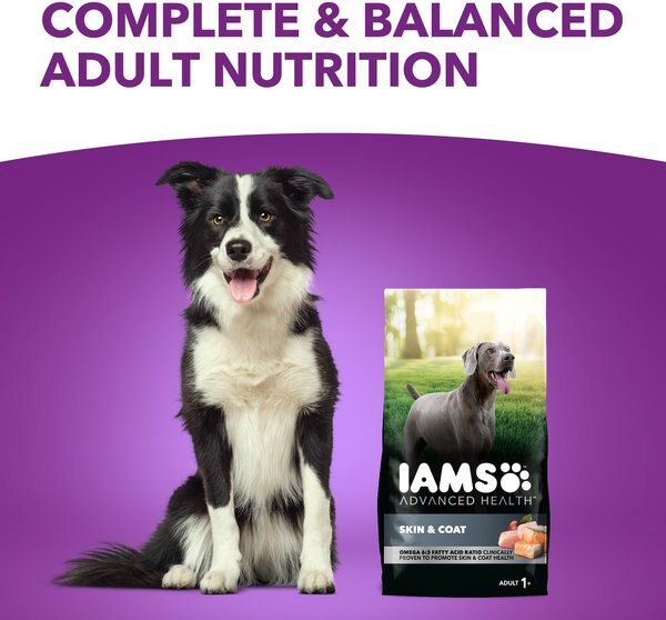 Iams Advanced Health Skin & Coat Chicken & Salmon Recipe Adult Dry Dog Food