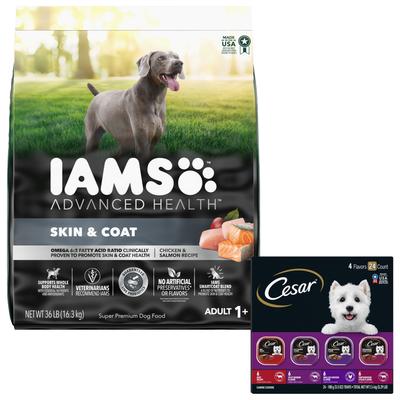 Show full view: Iams Advanced Health Skin & Coat Chicken & Salmon Recipe Dry Food + Cesar Classic Loaf in Sauce Adult Beef Recipe, Filet Mignon, Grilled Chicken, & Porterhouse Steak Flavors Variety Pack Wet Dog Food slide 1 of 9