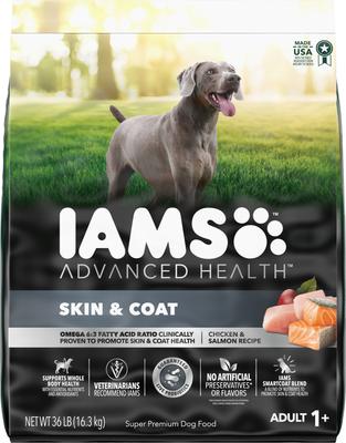 Show full view: Iams Advanced Health Skin & Coat Chicken & Salmon Recipe Dry Food + Cesar Classic Loaf in Sauce Adult Beef Recipe, Filet Mignon, Grilled Chicken, & Porterhouse Steak Flavors Variety Pack Wet Dog Food slide 2 of 9