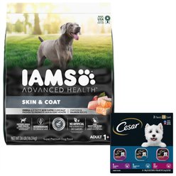 Iams Advanced Health Skin & Coat Chicken & Salmon Recipe Dry Food + Cesar Filets in Gravy Beef Flavors Variety Pack Wet Dog Food