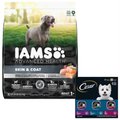 Bundle: Iams Advanced Health Skin & Coat Chicken & Salmon Recipe Dry Food + Cesar Filets in Gravy Beef ...