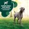 Show in main carousel: Iams Advanced Health Skin & Coat Chicken & Salmon Recipe Dry Food + Cesar Filets in Gravy Beef Flavors Variety Pack Wet Dog Food slide 5 of 9