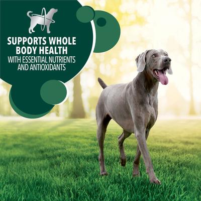 Show full view: Iams Advanced Health Skin & Coat Chicken & Salmon Recipe Dry Food + Cesar Filets in Gravy Beef Flavors Variety Pack Wet Dog Food slide 5 of 9