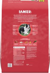 Iams Proactive Health Minichunks Adult High-Protein with Real Lamb Dry Dog Food, 44-lb bag slide 2 of 9