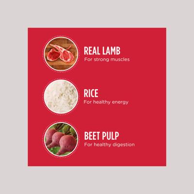 Iams Minichunks High-Protein with Real Lamb Adult Dry Dog Food