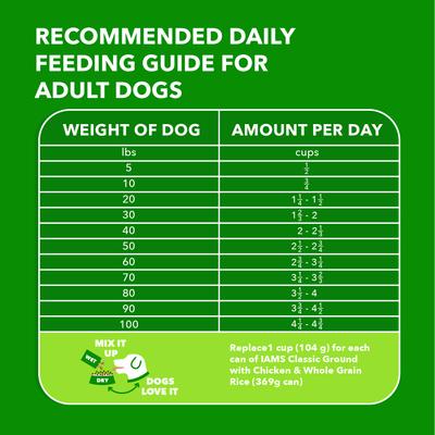 Iams Proactive Health Beef & Rice Recipe Adult Dry Dog Food