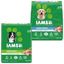 Iams MiniChunks Small Kibble + Large Breed Real Chicken Dry Dog Food