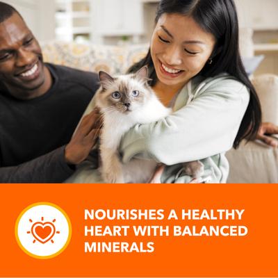 Show full view: Iams Perfect Portions Healthy Adult Chicken Salmon Variety Pack Grain-Free Pate Wet Cat Food, 2.6-oz tray, case of 24 slide 10 of 11