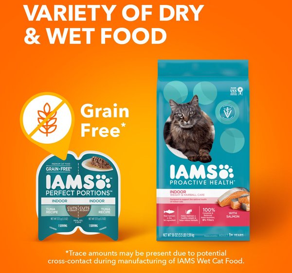 Salmon Recipe Iams Indoor Cat Food Walmart Iams Cat Food Healthy
