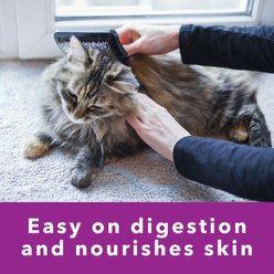 Iams Perfect Portions Sensitive Digestion & Skin Adult Turkey Recipe Grain-Free Pate Wet Cat Food, 2.6-oz, case of 24 twin packs slide 2 of 9