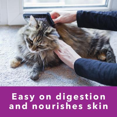 Show full view: Iams Perfect Portions Sensitive Digestion & Skin Adult Turkey Recipe Grain-Free Pate Wet Cat Food, 2.6-oz, case of 24 twin packs slide 6 of 11