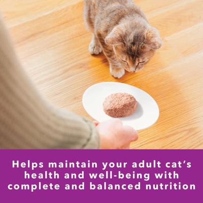 Show full view: Iams Perfect Portions Sensitive Digestion & Skin Adult Turkey Recipe Grain-Free Pate Wet Cat Food, 2.6-oz, case of 24 twin packs slide 9 of 11