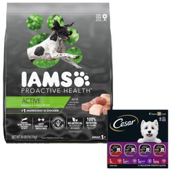 Iams Proactive Health Active Chicken & Turkey Recipe Dry Dog Food + Cesar Classic Loaf in Sauce Beef Recipe, Filet Mignon, Grilled Chicken, & Porterhouse Steak Flavors Variety Pack Wet Dog Food
