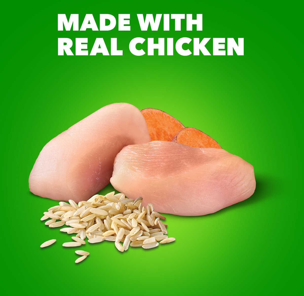 Chicken Publix Purina One Publix Purina ONE Dog Digestive Support