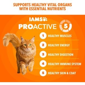 Iams Proactive Health Healthy Adult Chicken Recipe Dry Cat Food, 22-lb bag
