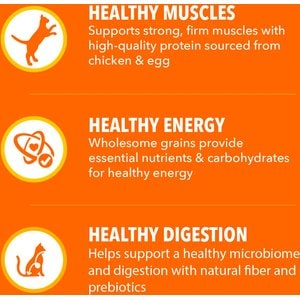 Iams Proactive Health Healthy Adult Chicken Recipe Dry Cat Food, 3.5-lb bag
