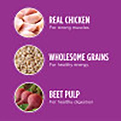 Show full view: Iams Proactive Health Healthy Aging Large Breed Adult Senior with Real Chicken Dry Dog Food, 30-lb bag, bundle of 2 slide 4 of 11