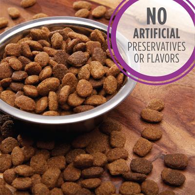 Show full view: Iams Proactive Health Healthy Aging Large Breed Adult Senior with Real Chicken Dry Dog Food, 30-lb bag, bundle of 2 slide 5 of 11