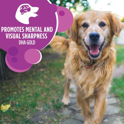 Show full view: Iams Proactive Health Healthy Aging Large Breed Adult Senior with Real Chicken Dry Dog Food, 30-lb bag, bundle of 2 slide 6 of 11